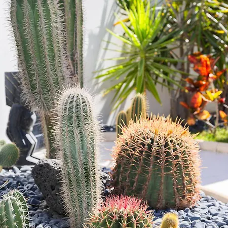 Beachside - Casa Aboleon Willa Corralejo