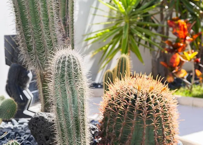 Beachside - Casa Aboleon Villa Corralejo